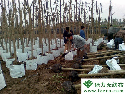 植樹(shù)袋